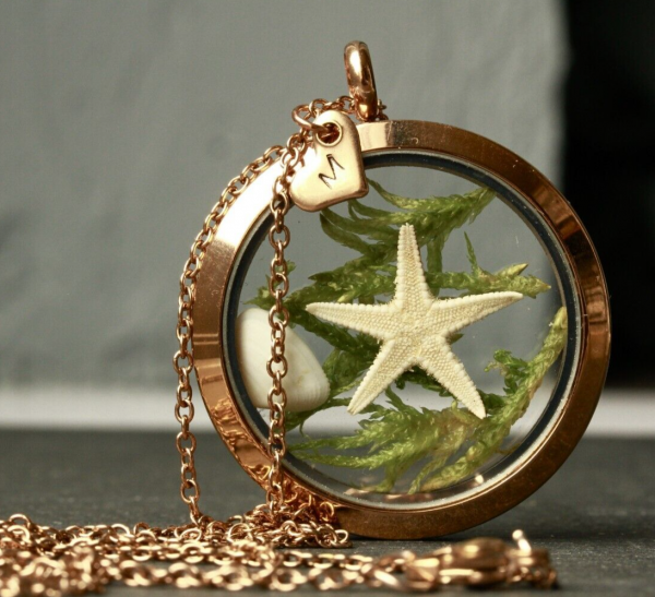 Medaillon Seestern Initial mit Muschel personalisierten Herz rosegoldfarben Edelstahl Terrarium